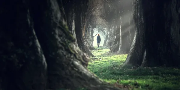 Forest path artwork with a lone figure walking toward a bright opening